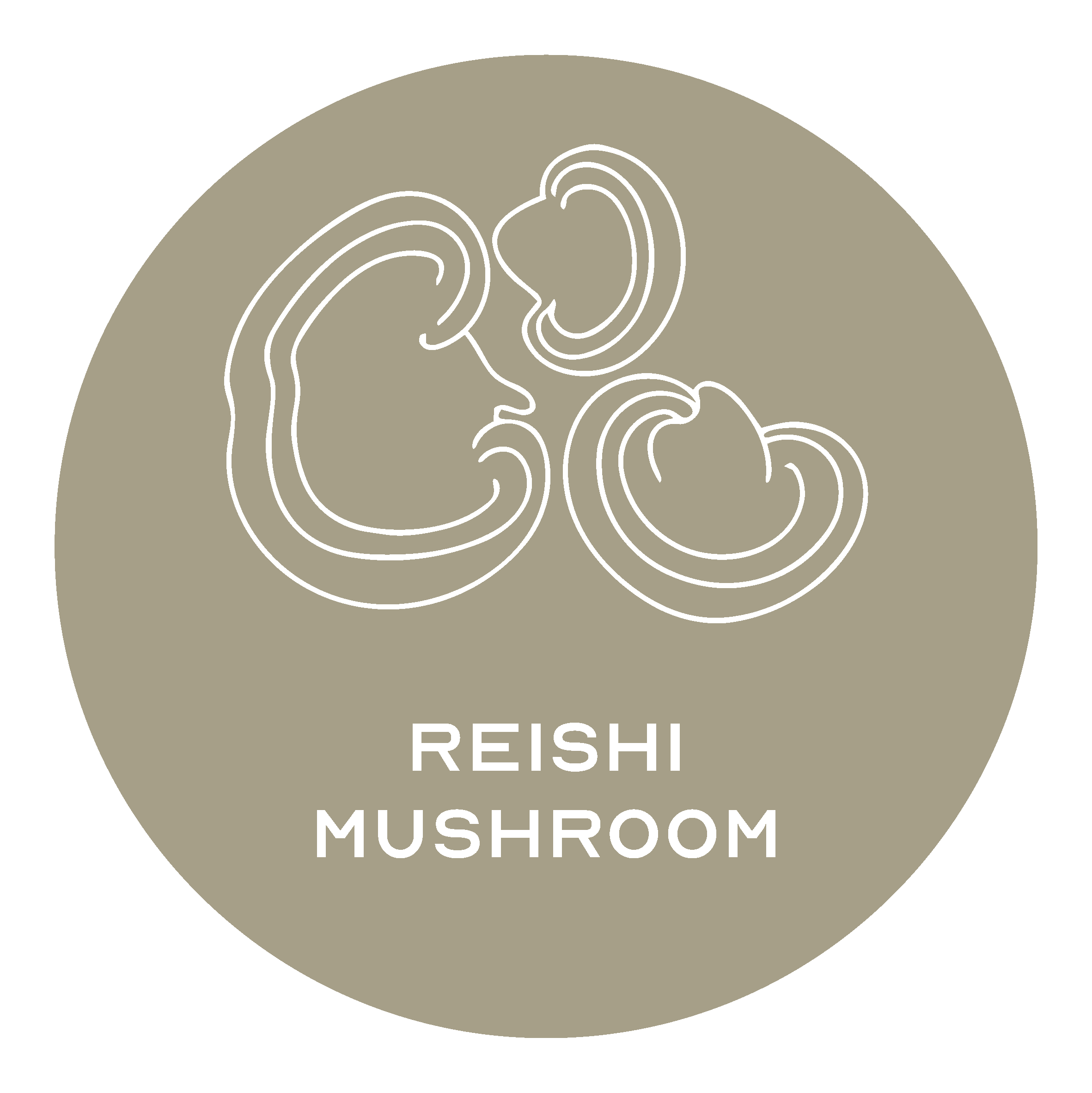 Reishi Mushroom