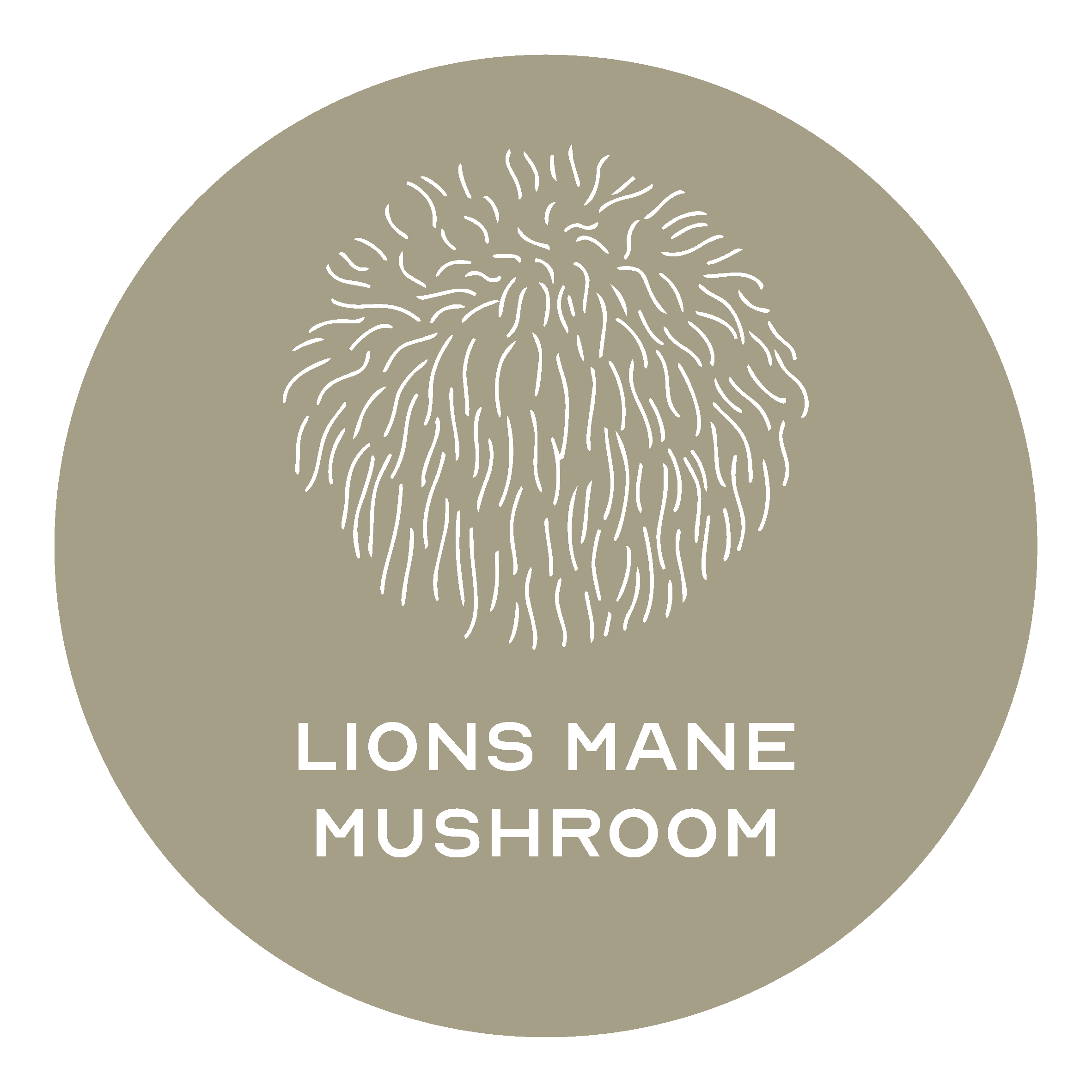 Lions Mane Mushroom
