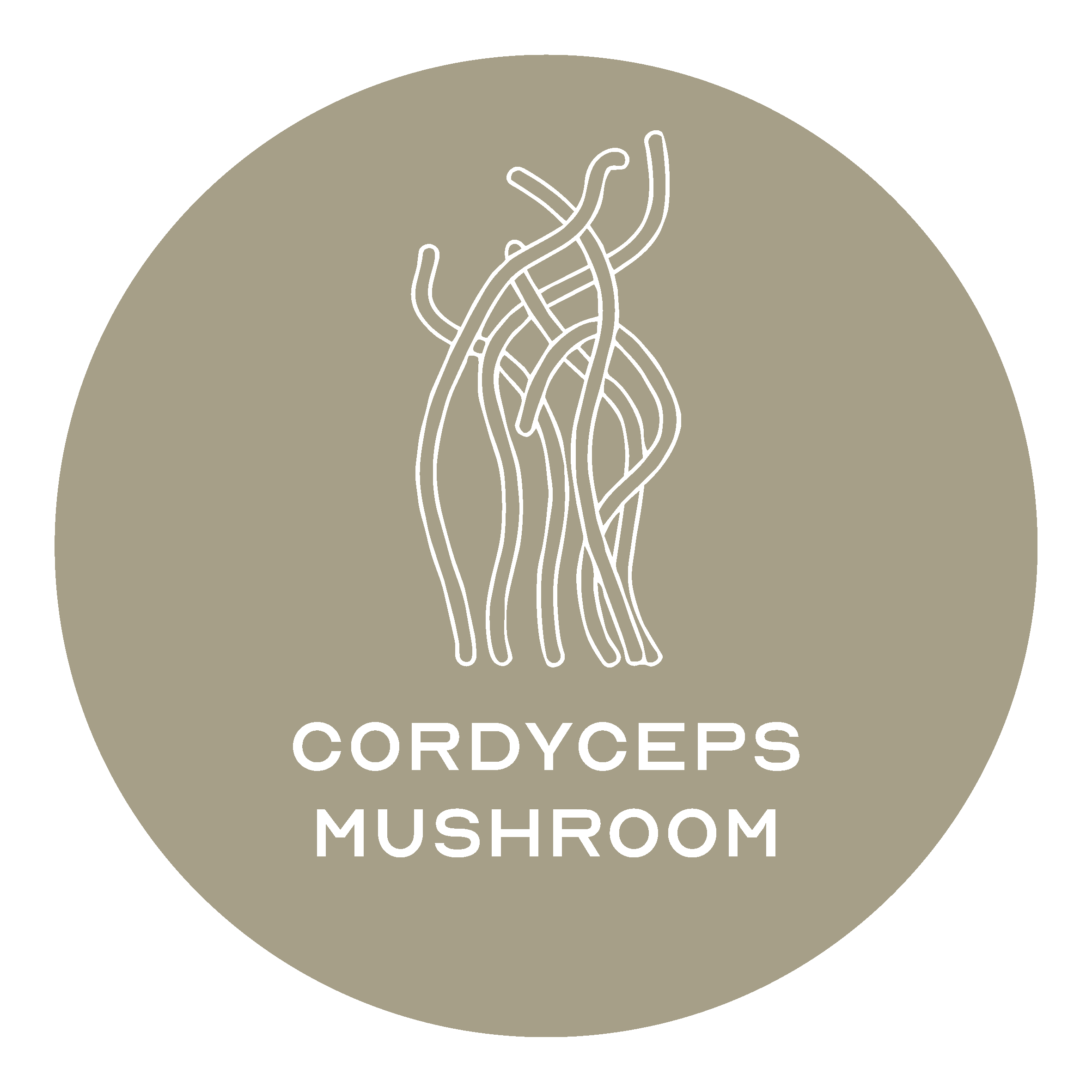 Cordyceps Mushroom
